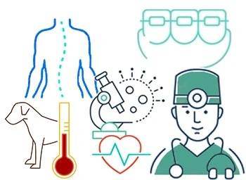 Serviços e profissionais da Saúde Humana e da Veterinária